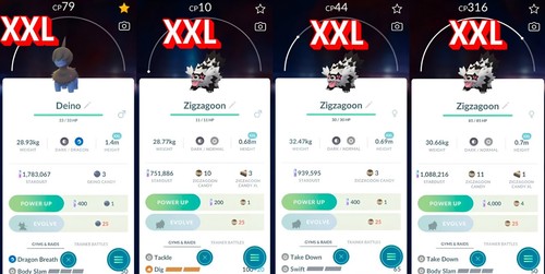 Deino zigzagoon xxl - xxl, tipo